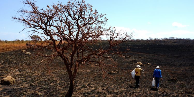 Governo anuncia pacote de R$ 1,3 bilhão para enfrentar efeitos do El Niño previsto para 2026/2027