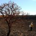 Governo anuncia pacote de R$ 1,3 bilhão para enfrentar efeitos do El Niño previsto para 2026/2027