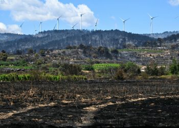Incêndio florestal em Mailhac, no sul da França — Foto: AFP