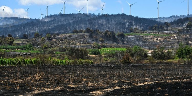 Incêndio florestal em Mailhac, no sul da França — Foto: AFP