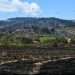 Incêndio florestal em Mailhac, no sul da França — Foto: AFP