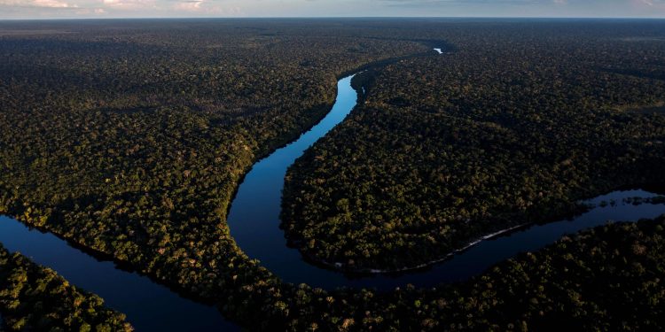 Infraestrutura natural precisa de recursos