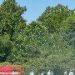 Sob sol de 34º em plena manhã, Noruega treina com sprinklers ligados para amenizar o calor