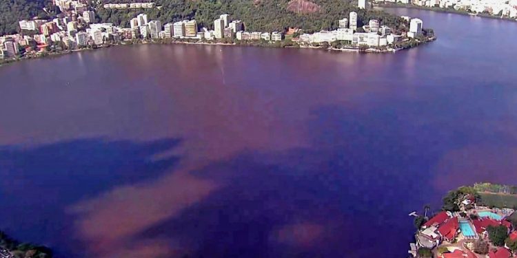 Mancha escura na Lagoa Rodrigo de Freitas: Patrulha Ambiental faz vistoria