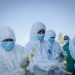 Mil casos em 10 dias: Surto de ebola na RDC passa de 3 mil infectados e 1,3 mil mortes