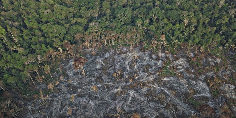 ONU é acionada para pressionar STF e CNJ sobre disputa em terra indígena de Rondônia