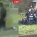Policial é esfaqueada no pescoço durante abordagem na Austrália, e suspeito é baleado e preso; vídeo