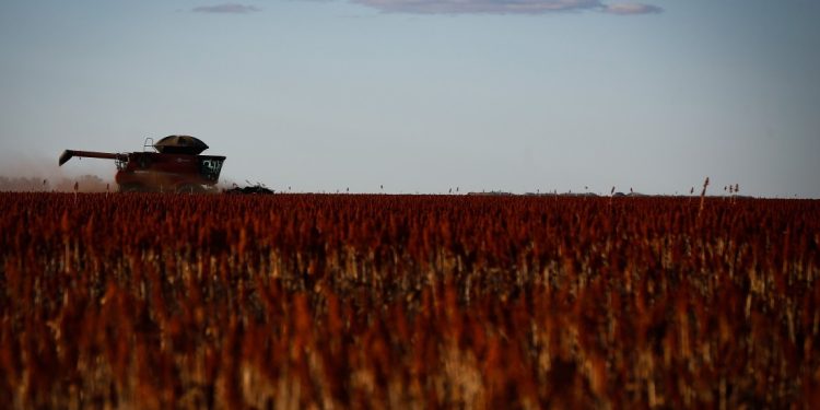 Preços de fertilizantes sobem por cinco semanas consecutivas nos portos brasileiros