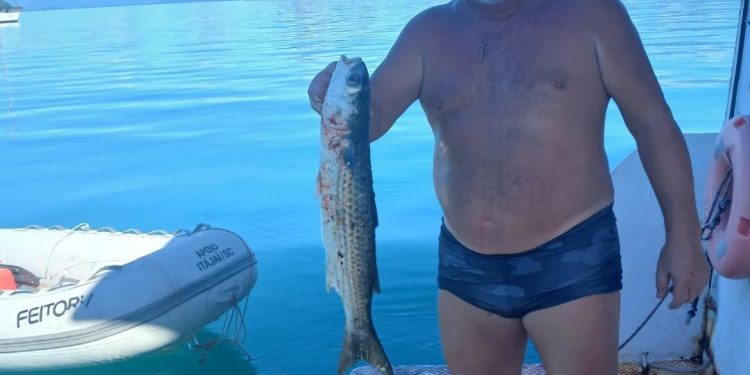 Quem era o pescador encontrado morto em Paraty após ventania: advogado gaúcho fez do barco sua casa e vivia no litoral fluminense