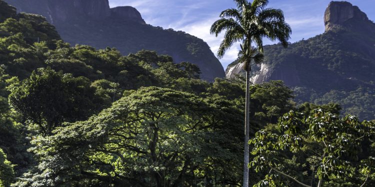 Rio e Niterói recebem programação gratuita do 'Um Dia no Parque' neste fim de semana