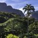 Rio e Niterói recebem programação gratuita do 'Um Dia no Parque' neste fim de semana
