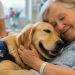 Terapia com cães em hospitais ganha espaço e mostra benefícios no cuidado à saúde