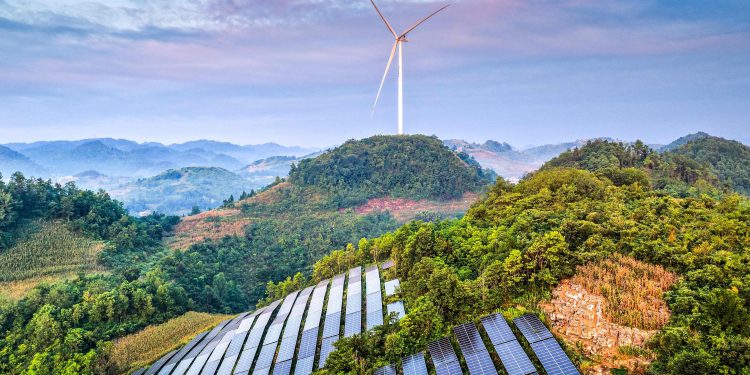 'Dilema verde': Estudo revela que boom de energia solar na China reduz diversidade de aves