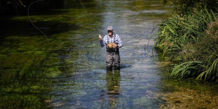 'Tesouros' de rios ingleses, trutas e salmões estão ameaçados por mudanças climáticas