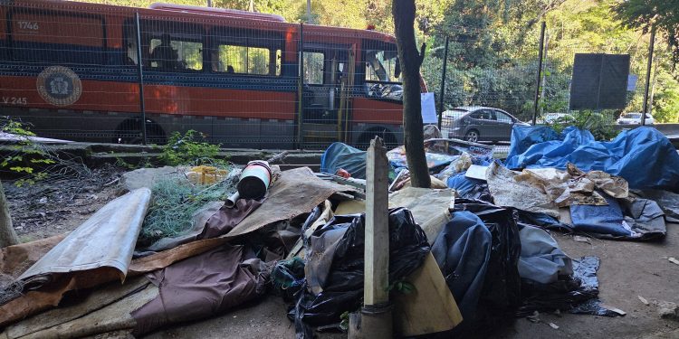 22 acampamentos irregulares são desmobilizados no Monte Cardoso Fontes, no Parque Nacional da Tijuca