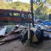 22 acampamentos irregulares são desmobilizados no Monte Cardoso Fontes, no Parque Nacional da Tijuca