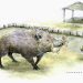Alimentar coelhos em ilha turística do Japão pode afetar todo o ecossistema — e envolver até javalis, conclui estudo