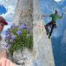 Alpinista que escalou um dos maiores paredões de granito do mundo em tempo recorde morre aos 30 anos nos EUA