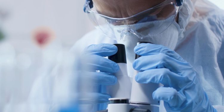 Alzheimer: cientistas descobrem estrutura inédita com potencial para ser novo alvo terapêutico