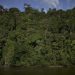 Amazônia registra queda histórica nos alertas de desmatamento