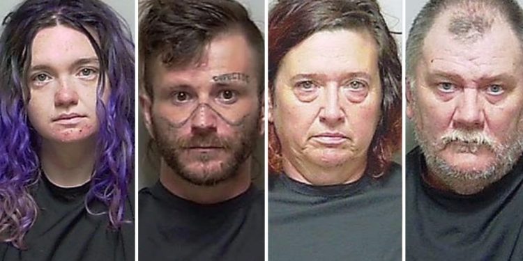Bebê é encontrado desnutrido em ‘casa dos horrores’ com camas infestadas de pulgas e fezes nos EUA; quatro pessoas são presas