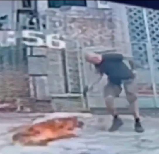 Cachorro é morto a tiros após se aproximar de homem que passeava com outro cão na Tijuca
