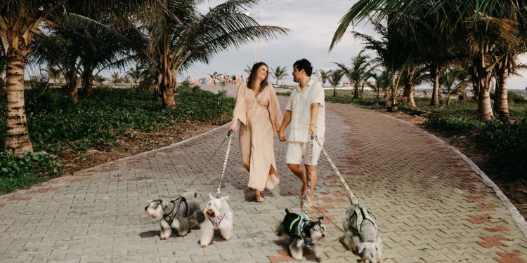 Cães veem os donos como família? O que explica esse vínculo