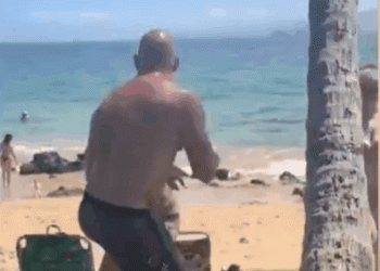 Candidato ao Congresso dos EUA começa briga e é nocauteado por lutador de MMA em praia do Havaí; vídeo