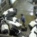Chutes, socos e cigarros acesos: câmeras escondidas flagram agressões a vacas em fazenda premiada no Reino Unido