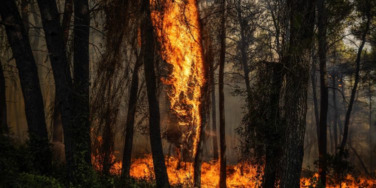 Cientistas criam IA capaz de antecipar incêndios com até 16 dias de antecedência