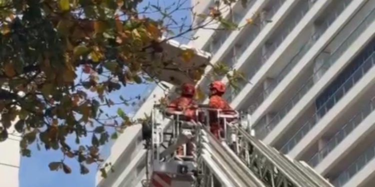 Colchão preso no alto de árvore mobiliza bombeiros e vira atração em Ipanema; vídeo