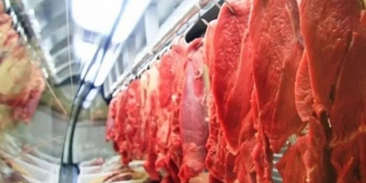 Cota de carne para a China freia frigoríficos, mas ritmo volta a acelerar em outubro, projeta Bradesco. Confira