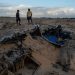 Crimes em alto-mar: Após 227 mortes no Caribe e no Pacífico, EUA ampliam ação antidrogas com aval de aliados