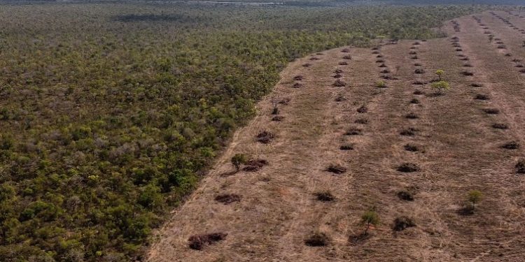 Desmatamento cai 20% em todos os biomas brasileiros e alertas na Amazônia registram menor volume da década, mostram dados do Inpe