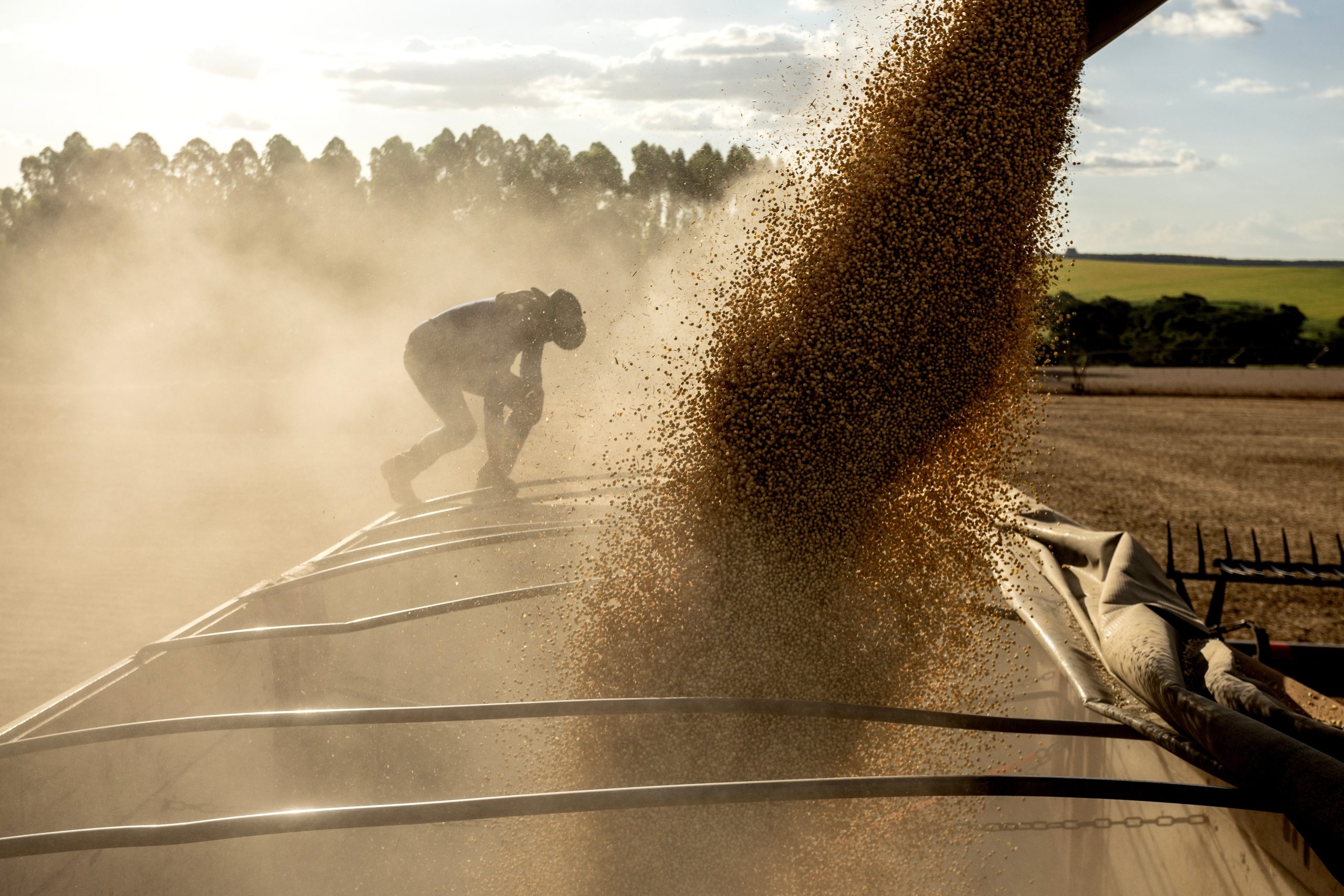 Diversidade e alta produtividade do agro amenizam riscos do El Niño sobre a produção de biocombustíveis