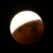 Eclipse lunar vai cobrir mais de 96% da Lua e poderá ser visto em todo o Brasil; veja horários
