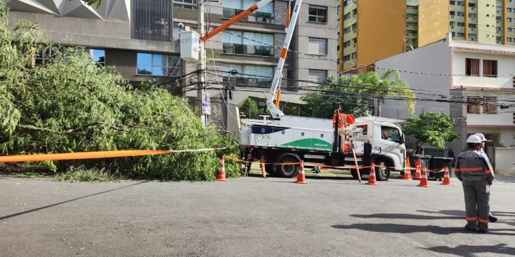 Em defesa final no caso da caducidade, Enel diz que melhorou indicadores, alega falta de isonomia e pede nulidade do processo