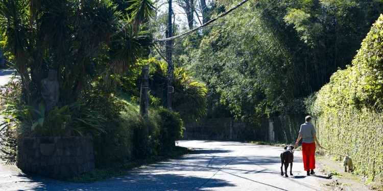 Estudo aponta que o Rio, não importa a estação, abriga ilhas de calor e de frescor ao mesmo tempo