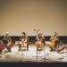 Eventos para curtir o fim de semana na Zona Sul sem precisar gastar