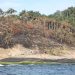Fogo atinge duas áreas de preservação de Niterói em uma semana
