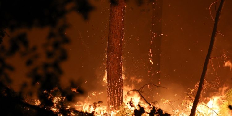 França e Grécia prendem centenas de pessoas por incêndios florestais em meio a onda de calor na Europa