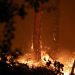 França e Grécia prendem centenas de pessoas por incêndios florestais em meio a onda de calor na Europa