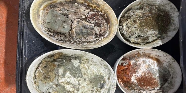 Funcionários denunciam larvas, baratas e comida mofada em empresa que fornece refeições para aeroporto de Los Angeles