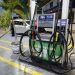 Governo avalia prorrogar por um mês subsídio para gasolina