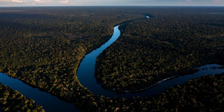 Governo errou na proposta para mercado de carbono