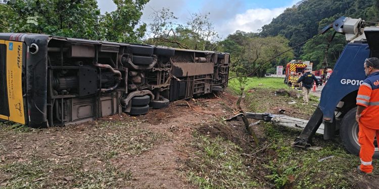 Grávida de quatro meses e menina de 7 anos: quem são as vítimas identificadas do acidente na BR-040
