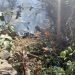 Helicóptero turístico cai no Quênia e deixa vítimas no Monte Lolokwe; vídeo