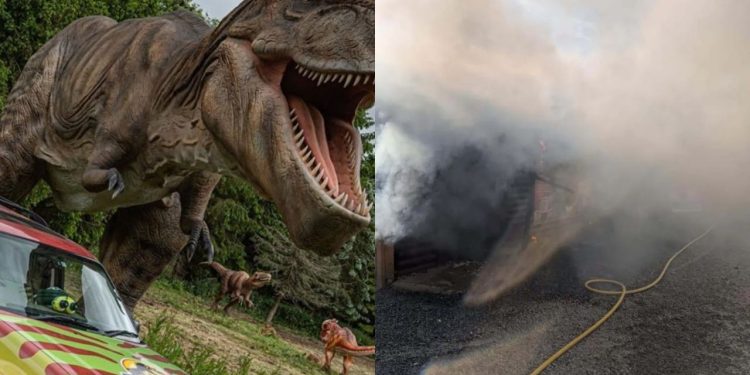 Incêndio atinge um dos maiores zoológicos da Inglaterra; parque é fechado e mobiliza bombeiros