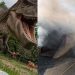 Incêndio atinge um dos maiores zoológicos da Inglaterra; parque é fechado e mobiliza bombeiros