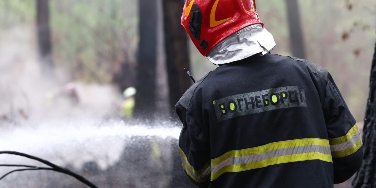 Incêndio florestal na França revela explosivos da Segunda Guerra Mundial sob área devastada